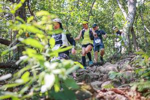 BIB: 
                            <button type="button" onclick="openModal(27699022)" class="btn btn-primary btn-sm float-right btn-popup" data-toggle="modal" data-target=".modal-high-quality">
                        <i class="fas fa-shopping-cart"></i> Add to Cart
                    </button>
                                            <button type="button" onclick="isThisMe(27699022, true)" class="btn btn-success btn-sm float-right btn-popup btn-isme hidden" data-toggle="tooltip" data-placement="bottom" title="นี่คือรูปของคุณใช่ไหม คลิกที่นี่เพื่อเอาเข้าอัลบั้ม">
                        <i class="fas fa-plus"></i> Add to album
                    </button>
                    <button type="button" onclick="isThisMe(27699022, false)" class="btn btn-warning btn-sm float-right btn-popup btn-isnotme hidden">
                        <i class="fas fa-ban"></i> Remove from album
                    </button>